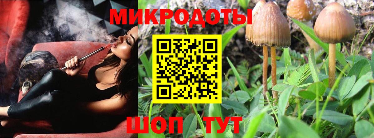 Можга  Галлюциногенные грибы прущие грибы  Вход с VPN 